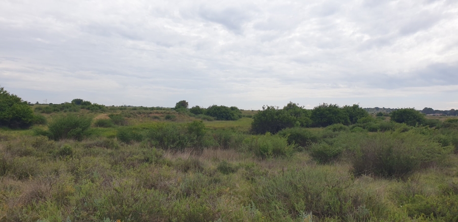 Commercial Property for Sale in Bloemfontein Rural Free State